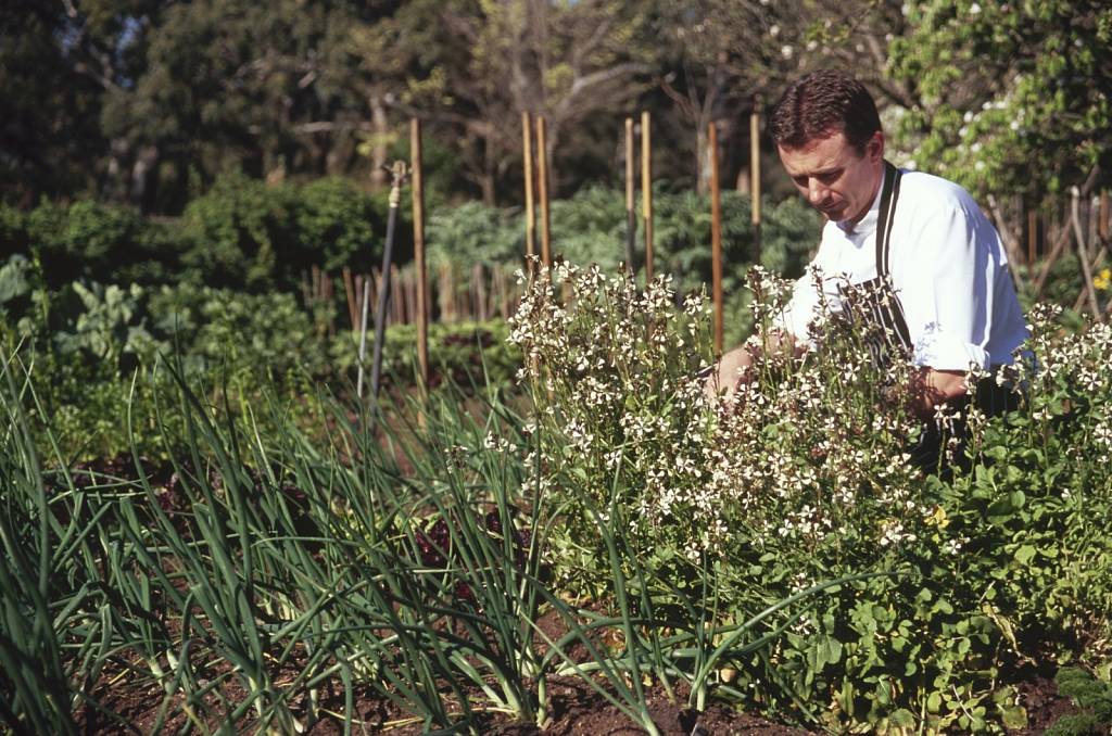 Dan-Hunter-in-garden.JPG