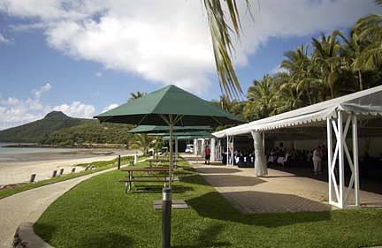 Bougainvillea Marquee