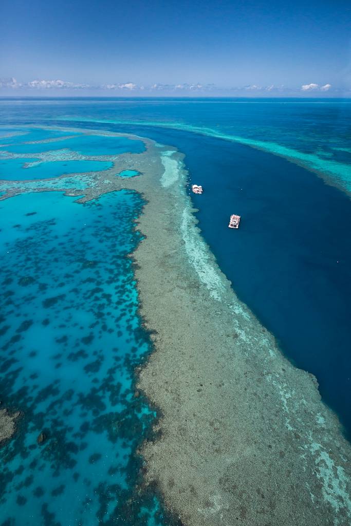 Heart Pontoon Great Barrier Reef