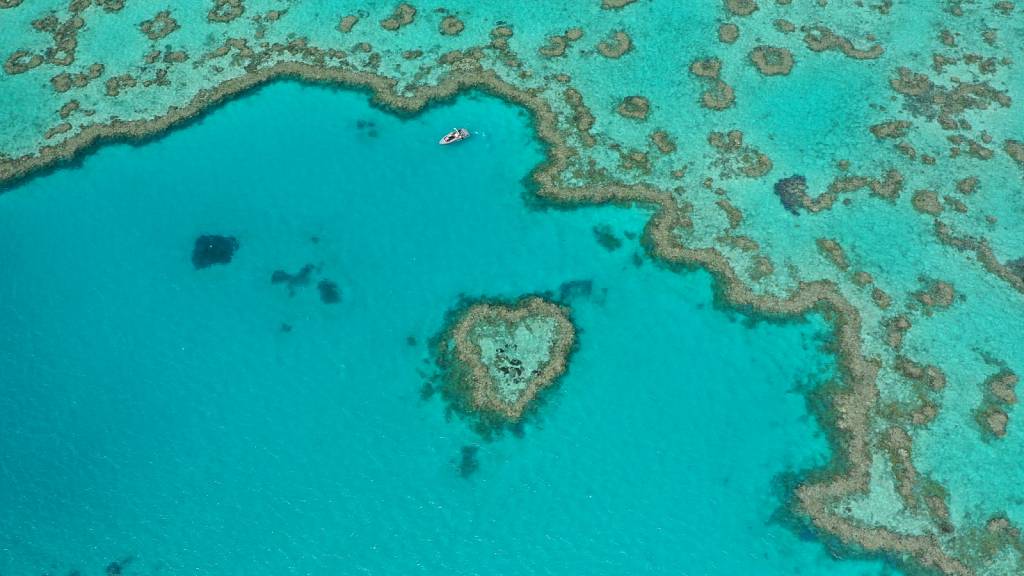 Heart Island, Great Barrier Reef